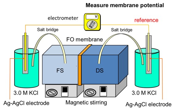 forward osmosis membrane 2